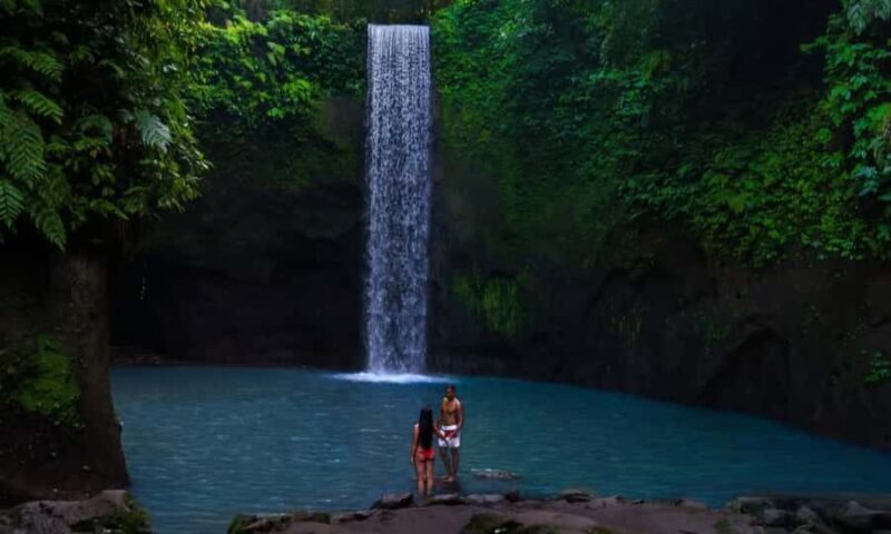 Best of Ubud: Waterfall, Temple & Rice Terrace - Who Will Love This Tour?