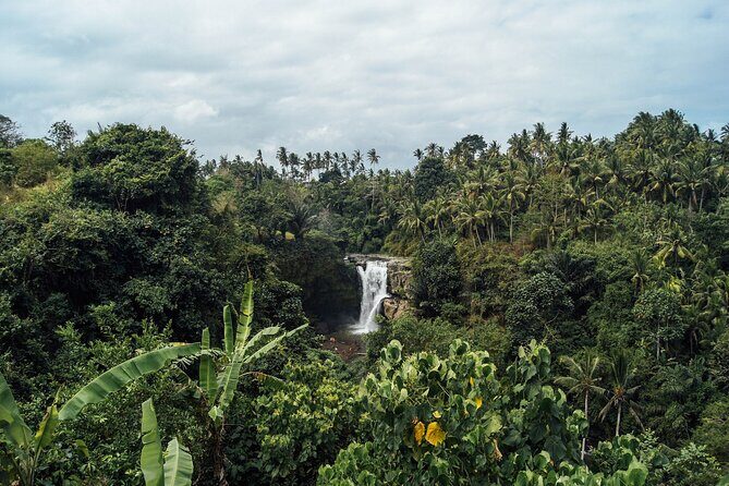Best of Ubud Waterfalls Private Tour - Value for Money