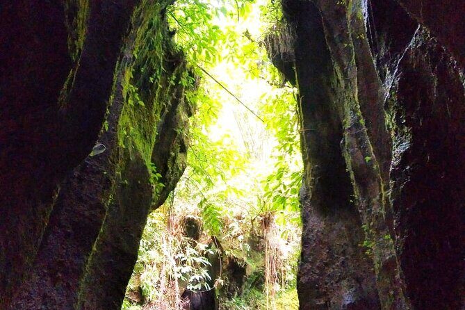 Best of Ubud Waterfalls Private Tour - Who Should Consider This Tour?