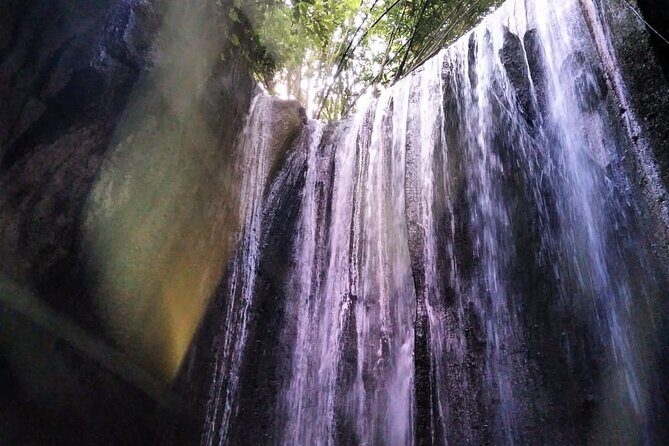 Best of Ubud Waterfalls Private Tour - The Sum Up