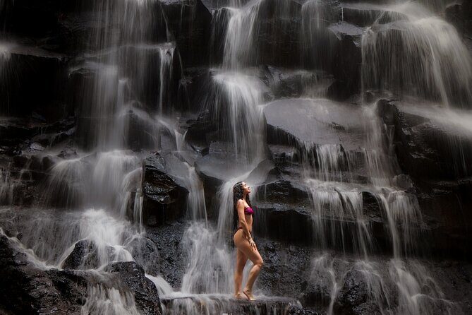 Best of Ubud Waterfalls, Tegalalang Rice Terrace & Jungle Swing - Key Points