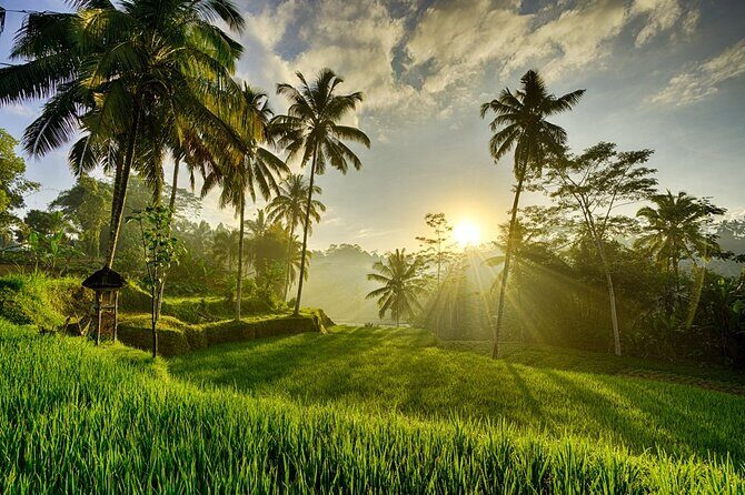Best of Ubud with Tanah Lot Temple Private Tour - An In-Depth Look at the Itinerary