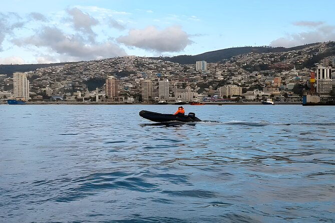 best-of-valparaiso-vina-del-mar-and-casablanca-valley-tour
