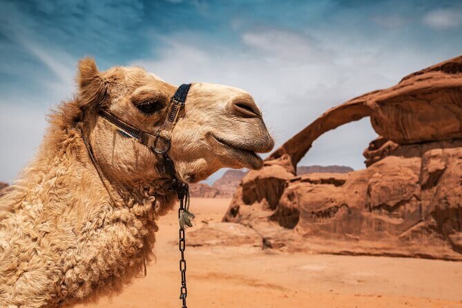 Best of Wadi Rum | Full day Jeep tour + Sleep under the stars | Pack all-in - Final Thoughts