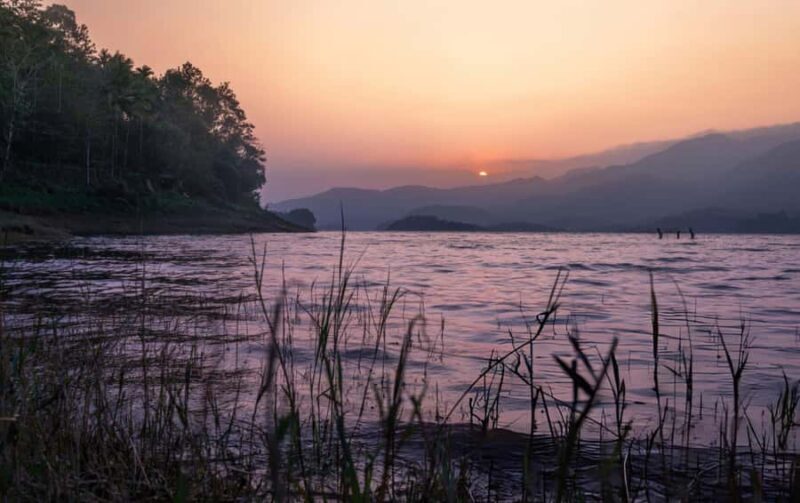 Best of Wayanad: Guided Day Trip from Mysore in a Car - The Sum Up