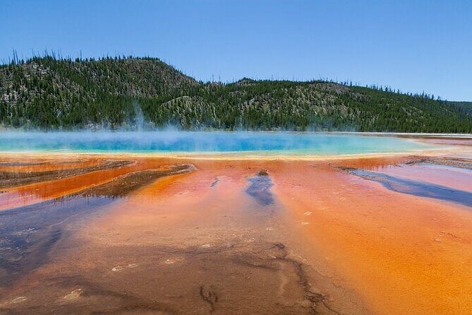 Best Of Yellowstone Full Day Nat'l Park Tour From Bozeman - The Ultimate Yellowstone Day Trip from Bozeman