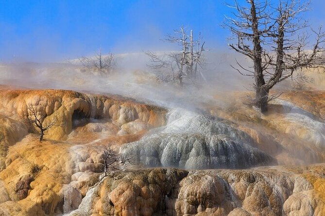 best-of-yellowstone-full-day-natl-park-tour-from-gardiner