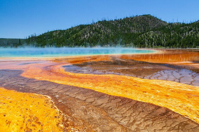 best-of-yellowstone-guided-tour-from-bozeman-private-tour