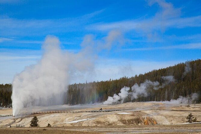 best-of-yellowstone-tour-from-paradise-valley-private-tour