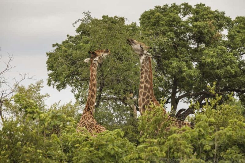 Best of Zimbabwe 6-Day Adventure - FAQ  