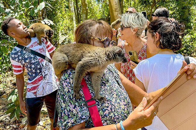 Best Price 7 Days Madagascar Family Tour with Baobabs Avenue - Who Should Consider This Tour?