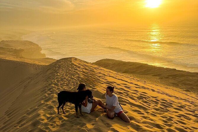Best price SandBoarding guided experience in Agadir & Taghazout - The Experience: What You Can Expect