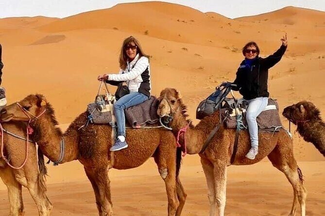Best private 3 days Marrakech to Merzouga Dunes & Camel Trek - What Sets This Tour Apart?