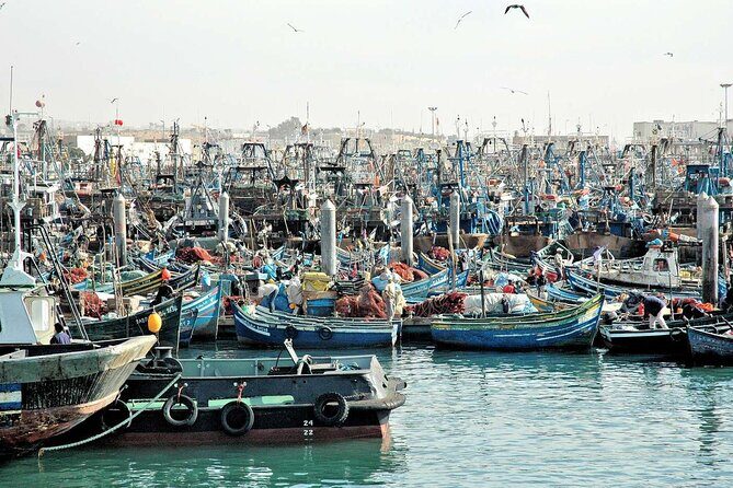 Best Private Agadir City Tour - Who Might Want to Consider Other Options?