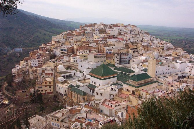 Best Private Guided Tour Casablanca: Your Exclusive City Guide - Final Thoughts