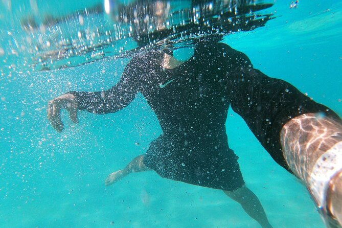 best-private-punta-cana-snorkeling-tour-natural-pool-stop