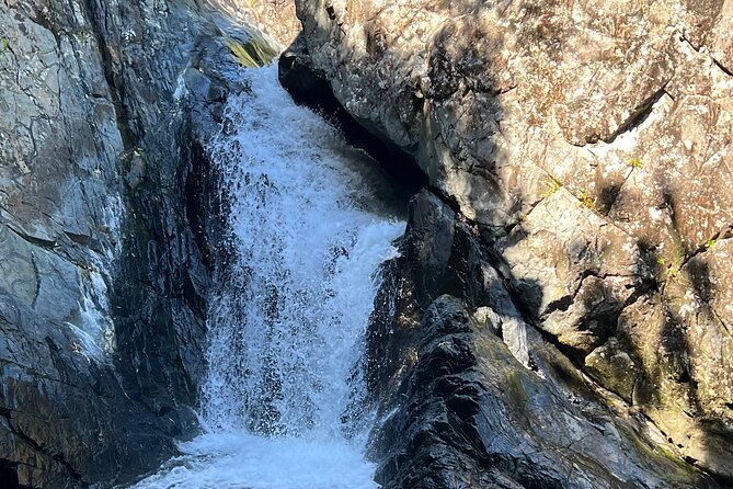 best-rainforest-tour-with-waterfall-experience-and-stop-at-kiosk