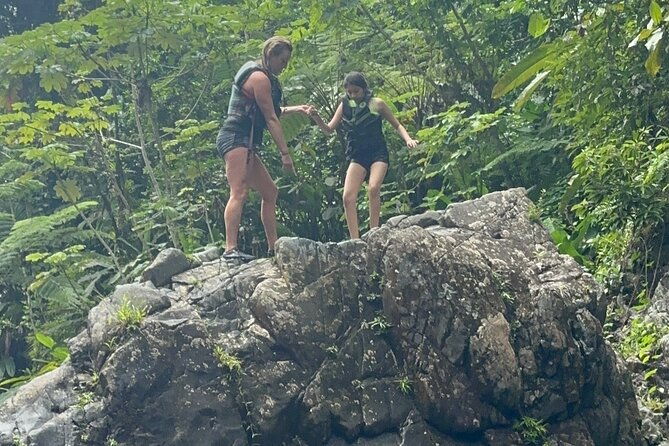 best-rainforest-tour-with-waterfall-experience-and-stop-at-kiosk