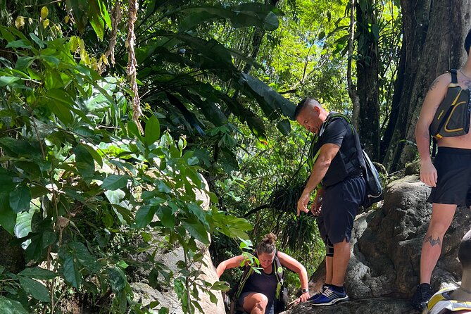 best-rainforest-tour-with-waterfall-experience-and-stop-at-kiosk