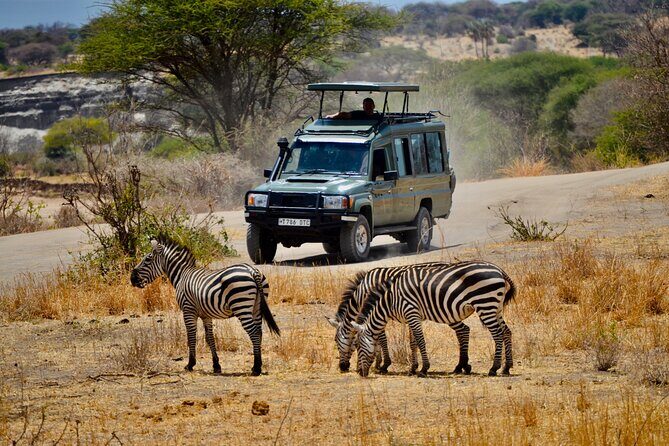 Best Safari and Zanzibar 10-Days Excursions - Who Is This Tour Best Suited For?