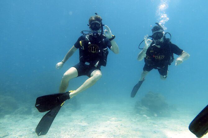 Best Scuba Diving Koh Tao Top Sites from Koh Samui - A Closer Look at the Koh Tao Scuba Tour Experience