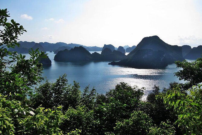 Best seller Halong Bay Cruises - A Deep Dive into the Experience