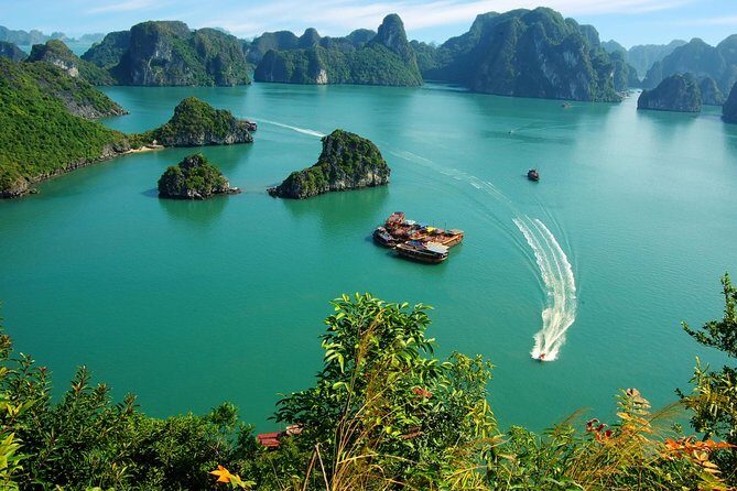 Best seller Halong Bay Cruises - Authentic Experiences and Real-World Insights