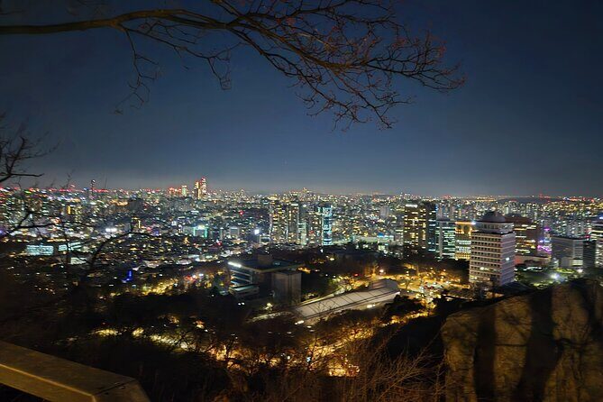 Best Seoul's hidden night view spots+Freestyle Tour - Key Points