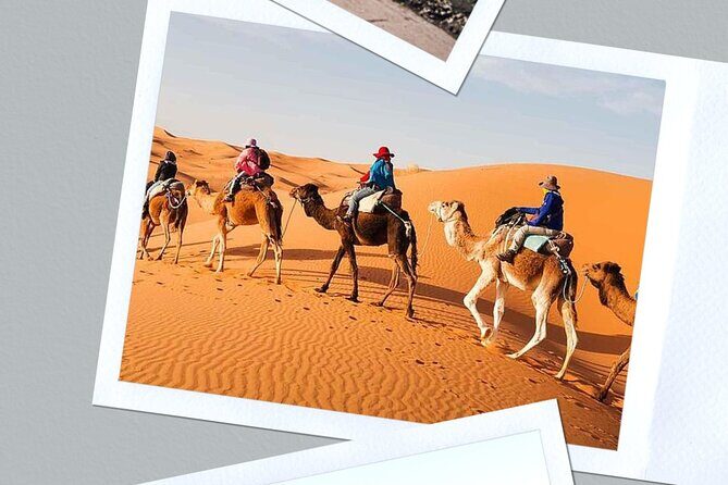 Best shared 3 days Fes to Marrakech Desert Tour - What’s Included and What’s Not