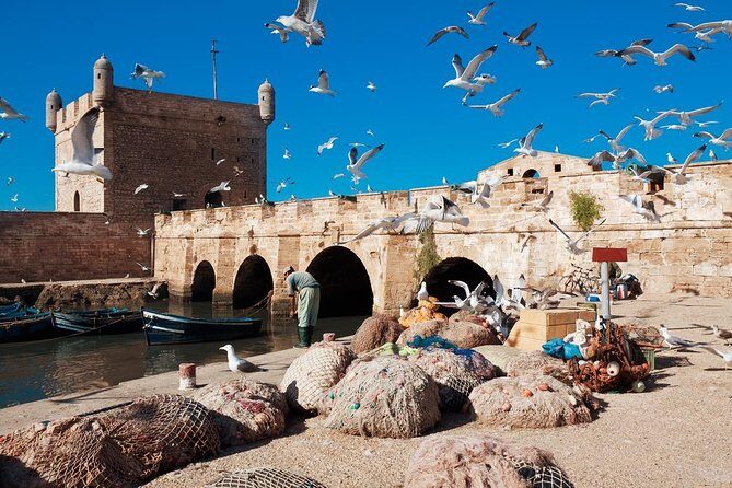 Best shared day trip to Essaouira from Marrakech - Detailed breakdown of the itinerary