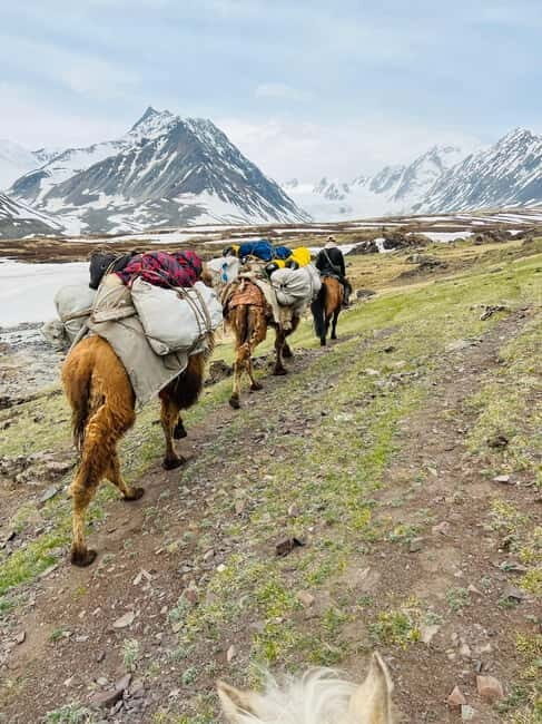 Best trekking tour in Mongolia - What To Expect Day-by-Day