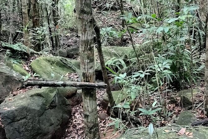 Best Trekking Tour In Phu Quoc (a Ngon Waterfall) - Who Should Consider This Tour?