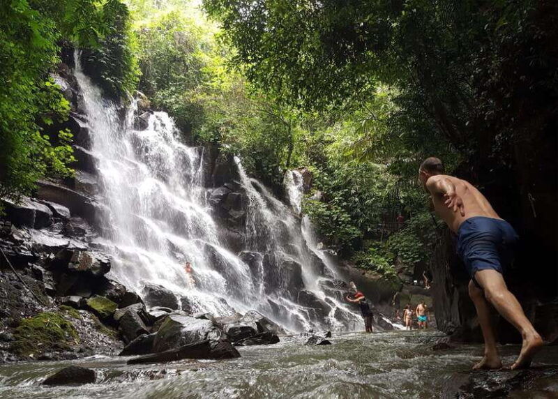 best-ubud-rice-terrace-waterfall-temple-private-transfers