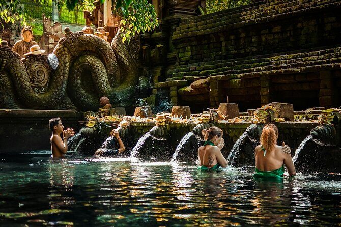 Best Ubud Tour Private Tour All Inclusive Package - Key Points