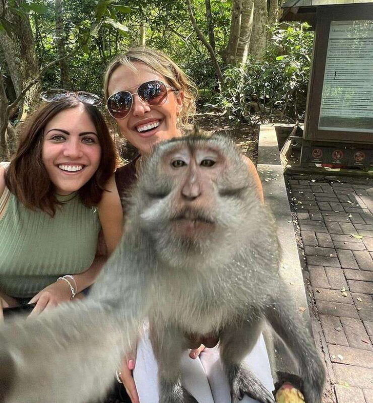 best-ubud-tour-ubud-instagramable-tour