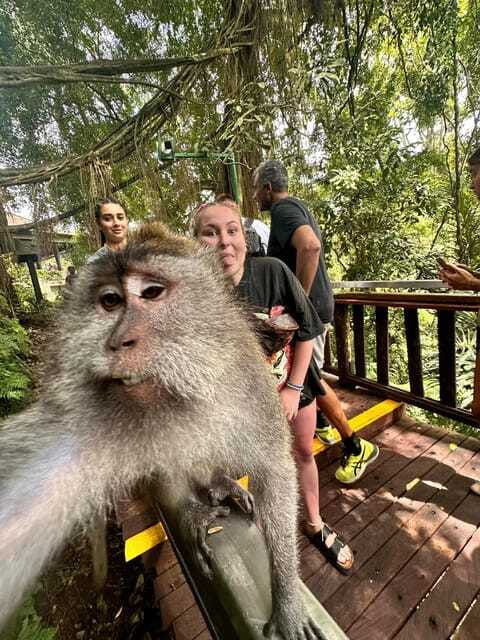 best-ubud-tour-ubud-instagramable-tour