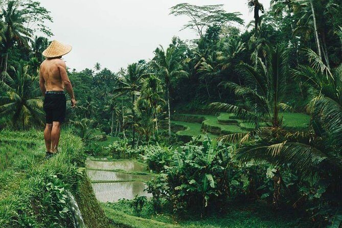 Best Ubud Tours -All inclusive with private driver - Exploring Ubud in a Day: The All-Inclusive Private Tour Experience