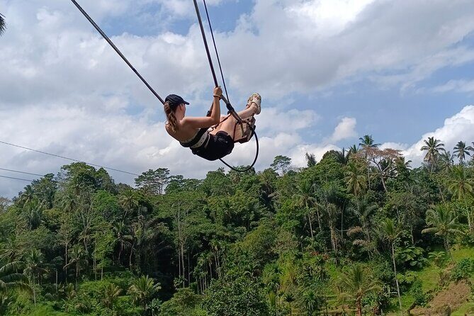 Best Ubud Tours -All inclusive with private driver - Who Is This Tour Best Suited For?