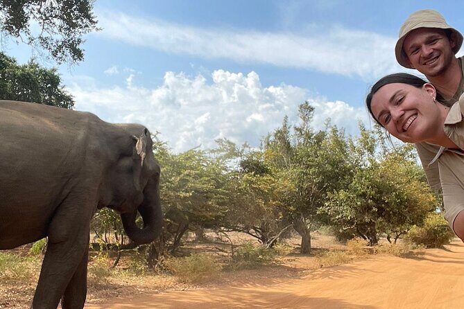 Best Value Yala Safari: Spot Leopards, Elephants & Bears (Shared) - Why Choose This Safari?