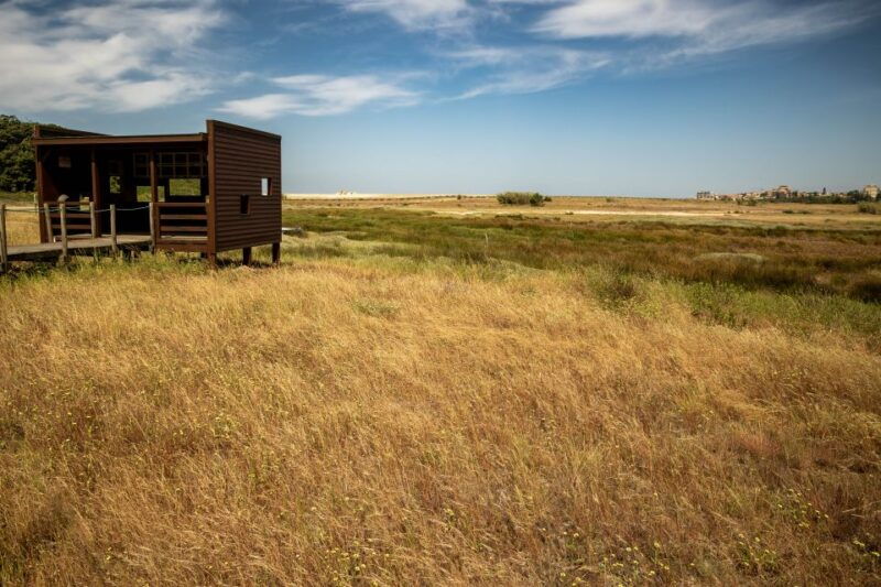 best-views-to-porto-from-gaia-vw-kombi-tour-with-cocktail