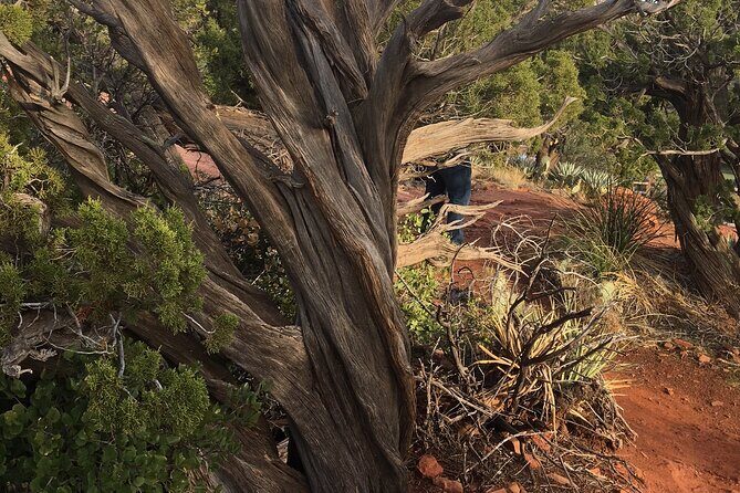 Best Vortex and Chakra Tour of Sedona - Exploring the Itinerary in Detail