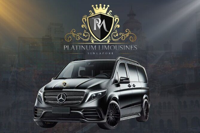 Best Wheelchair Transport in Singapore 2024 - Final Thoughts: Who Should Choose This Service?