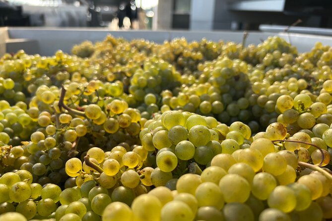 best-wines-best-views-full-day-private-willamette-valley-tours
