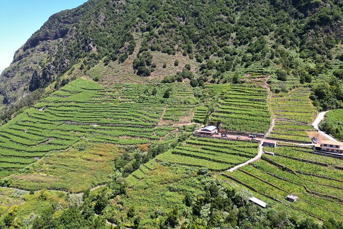 bestselling-wine-tour-tasting-experience-skywalk-4x4-adventure-2