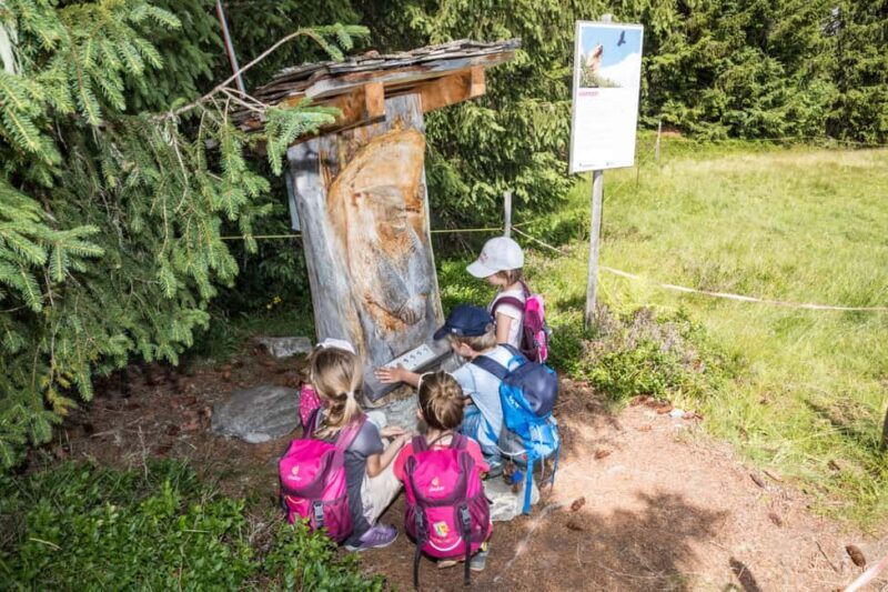 Betelberg: Marmot Trail with Interactive Play Stations - An Overview of the Marmot Trail Experience