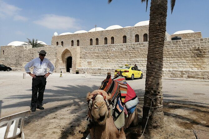Bethlehem, Jericho, Hisham palace and Qumran Full Day Private Tour - Who Would Love This Tour?
