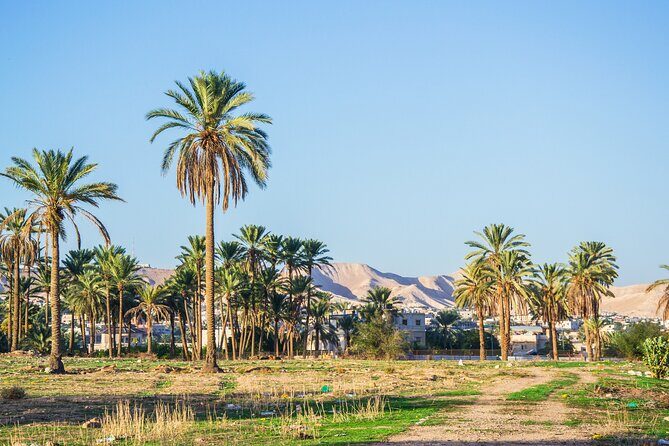 Bethlehem, Jericho & Jordan River Tour from Tel Aviv - Transportation and Group Size
