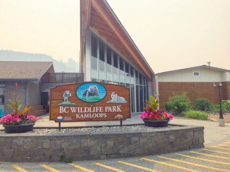 between-kamloops-revelstoke-smartphone-audio-driving-tour