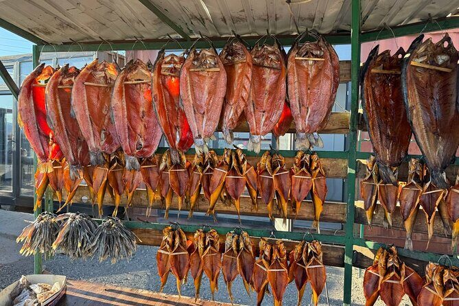 Between Peaks and Traditions: A Scenic 5-Day Kyrgyz Journey - Who Is This Tour Best For?