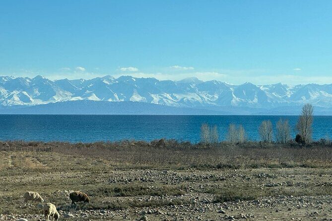 Between Peaks and Traditions: A Scenic 5-Day Kyrgyz Journey - FAQs